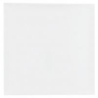 PlayBox: Pânză de pictură 20x20cm - 0/c/0c42eff900b5bca4f79ad51de3742e59d7e87e0cf33b93599749dae11ebc6dc5.jpg