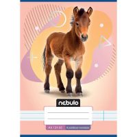 Nebulo: Caiet dictando pentru clasa a 4-a cu model de cal A/5 21-32 - 2/3/238dc39a2ad990ee458c29e44188efa1e86754ea9e66edeb26a1ceee671a7385.jpg