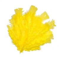 PlayBox: Pene de curcan galbene pentru decor, set de 48 bucăți - 2/c/2cc2c4576ed7182a79e2e7b8fdaa985451e45c1c8edfc81faf22f6ee4f18dbb9.jpg