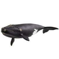 Schleich: Figurină balenă nord-atlantică (14878) - 3/e/3e140a17e2322e6f9b85a611e5872ade7bd4b804426adf5c422511528db024c1.jpg
