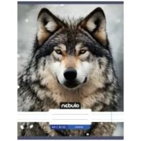 Nebulo: Caiet simplu Farkas A4 80-32 - 4/e/4ee1f3a8b3909809a8c3f07512e8b704b10e84105f5a7890b0ca4873837c9e3a.jpg