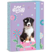 Ars Una: Animale drăguțe - cutie pentru caiete A/5 cu câini Aussie - a/r/Ars-Una-Animale-dragute--cutie-pentru-caiete-A-5-cu-caini-Aussie-1.jpg
