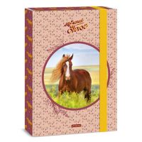 Ars Una: Calul meu dulce - Dosar A4 pentru echitație - a/r/Ars-Una-Calul-meu-dulce--Dosar-A4-pentru-echitatie-1.jpg