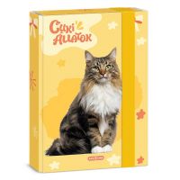 Ars Una: Cutie drăguță pentru caiete format A/5 cu pisică de pădure norvegiană - a/r/Ars-Una-Cutie-draguta-pentru-caiete-format-A-5-cu-pisica-de-padure-norvegiana-1.jpg