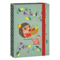 Ars Una: Cutie pentru caiete A4 Apple Pie - a/r/Ars-Una-Cutie-pentru-caiete-A4-Apple-Pie-1.jpg