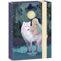 Ars Una: Northern Lights cutie pentru caiete A5 - a/r/Ars-Una-Northern-Lights-cutie-pentru-caiete-A5-1.jpg