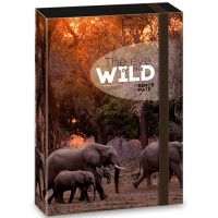 Ars Una: Máté Bence The Eyes of the Wild - Elefant mapă pentru caiete A4 - a/r/ars-una-mate-bence-the-eyes-of-the-wild-elefant-mapa-pentru-caiete-a4.jpg
