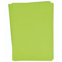 PlayBox: Set de hârtie cartonată verde deschis A4, 25 de bucăți, 180g - c/2/c2c28c332e92f3a2fae7aab20e774be7ed5a381e5133e68ca1a746f20870ed4c.jpg