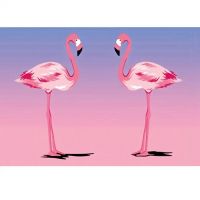 Set de pictură cu diamante: Flamingo, 10x15cm - c/7/c73b536e1d7694b5dd2f901d390e49c3307ce245b4903e56527d0ef06018ca27.jpg