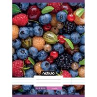 Caiet Nebulo: liniat, format A4, cu fructe pe copertă, 81-32 - c/a/Caiet-Nebulo-liniat-format-A4-cu-fructe-pe-coperta-81-32-1.jpg