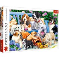 Căței în parc 1000 bucăți puzzle - Trefl - c/a/catei-in-parc-1000-bucati-puzzle-trefl.jpg
