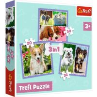 Cățeluși drăguți 3 in 1 de 50-36-20 bucăți puzzle - Trefl - c/a/catelusi-draguti-3-in-1-de-50-36-20-bucati-puzzle-trefl.jpg
