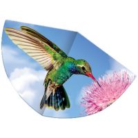 Colibri zmeu