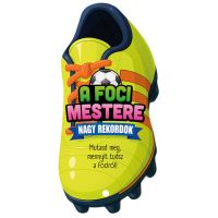 Maestrul fotbalului - Recorduri mari