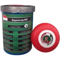 Echipa națională maghiară de fotbal de masă - e/c/Echipa-nationala-maghiara-de-fotbal-de-masa-1.jpg