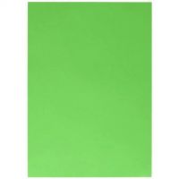 Spirit: Verde deschis carton decorativ 220g mărimea A4 1 bucată - e/c/ece441b38f09c5ac6b2242e91e4394176b2b5462db7200bb35e850f6cb0a58d9.jpg
