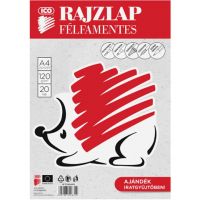 Ico: Foaie de desen cu spini A/4, 20 foi - f/0/f0a82a8fcd28905ec1d3587e002e51aae398b53739fc5452c6e6a61f858be072.jpg
