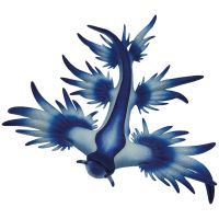 Figurină de joc melc de mare albastru - Bullyland - f/i/Figurina-de-joc-melc-de-mare-albastru--Bullyland-1.jpg
