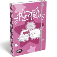 ICO: Lizzysuli Kittok stars — cutie A4 pentru caiete, cu elastic și model cu pisici - i/c/ICO-Lizzysuli-Kittok-stars---cutie-A4-pentru-caiete-cu-elastic-si-model-cu-pisici-1.jpg