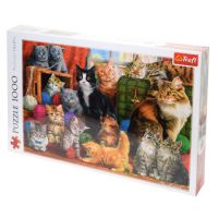 Întâlnire 1000 bucăți puzzle - Trefl - i/n/intalnire-1000-bucati-puzzle-trefl.jpg