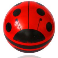 Minge design animal 22 cm - k/a/katicas-labda-nagy-mintaval.jpg