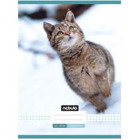 Nebulo: Caiet A4 capsat, liniat, cu pisici 81-32 - n/e/Nebulo-Caiet-A4-capsat-liniat-cu-pisici-81-32-1.jpg