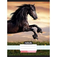 Nebulo: Caiet capsat cu pătrățele - Model cu cal în apus de soare 87-32 A/4 - n/e/Nebulo-Caiet-capsat-cu-patratele--Model-cu-cal-in-apus-de-soare-87-32-A-4-1.jpg