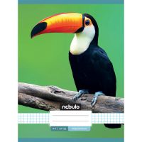 Nebulo: Caiet cu model de tucan pătat, format A4, 87-32 - n/e/Nebulo-Caiet-cu-model-de-tucan-patat-format-A4-87-32-1.jpg