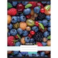 Nebulo: Caiet cu pătrățele, format A/4, cu cotor metalic, cu model de fructe, 87-32 - n/e/Nebulo-Caiet-cu-patratele-format-A-4-cu-cotor-metalic-cu-model-de-fructe-87-32-1.jpg