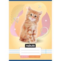 Nebulo: Caiet dictando clasa a 4-a cu model de pisică A/5 21-32 - n/e/Nebulo-Caiet-dictando-clasa-a-4-a-cu-model-de-pisica-A-5-21-32-1.jpg