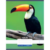 Nebulo: Caiet dictando cu model tucan 81-32 A/4 - n/e/Nebulo-Caiet-dictando-cu-model-tucan-81-32-A-4-1.jpg
