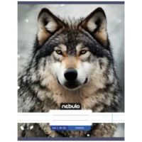 Nebulo: Caiet simplu Farkas A4 80-32 - n/e/Nebulo-Caiet-simplu-Farkas-A4-80-32-1.jpg