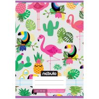 Nebulo: Caiet tip dictando, format A5, cu linii, pentru clasa a 2-a, cu model de tucan, 16-32 file, capsat - n/e/Nebulo-Caiet-tip-dictando-format-A5-cu-linii-pentru-clasa-a-2-a-cu-model-de-tucan-16-32-file-capsat-1.jpg