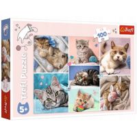 Pisici 100 de bucăți puzzle - Trefl - p/i/pisici-100-de-bucati-puzzle-trefl.jpg