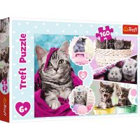 Pisici simpatice puzzle 160 bucăți - Trefl - p/i/pisici-simpatice-puzzle-160-bucati-trefl.jpg