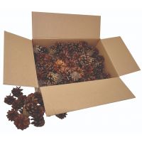PlayBox: Set de conuri luminoase, 125 de bucăți - p/l/PlayBox-Set-de-conuri-luminoase-125-de-bucati-1.jpg