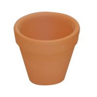 PlayBox: Set de ghivece din lut, 10 bucăți, 5 cm - p/l/PlayBox-Set-de-ghivece-din-lut-10-bucati-5-cm-1.jpg