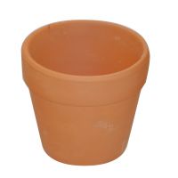 PlayBox: Set de ghivece din lut, 10 bucăți, 6 cm - p/l/PlayBox-Set-de-ghivece-din-lut-10-bucati-6-cm-1.jpg