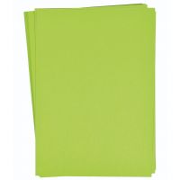 PlayBox: Set de hârtie cartonată verde deschis A4, 25 de bucăți, 180g