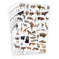 PlayBox: Stickere cu animale sălbatice, set de 300 bucăți - p/l/PlayBox-Stickere-cu-animale-salbatice-set-de-300-bucati-1.jpg