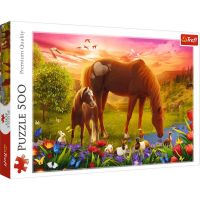 Puzzle cu 500 de piese - Cai pe pajiște - Trefl - p/u/Puzzle-cu-500-de-piese--Cai-pe-pajiste--Trefl-1.jpg