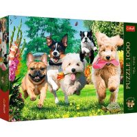 Puzzle premium de 1000 de piese 