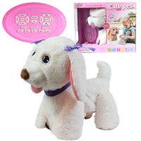 RC Cute Pet: câine interactiv de pluș Labrador cu telecomandă și accesorii 2.4GHz 40cm - r/c/rc-cute-pet-caine-interactiv-de-plus-labrador-cu-telecomanda-si-accesorii-24ghz-40cm.jpg