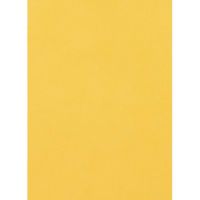 Spirit: Burete de aur, foaie A4, 2mm - s/p/Spirit-Burete-de-aur-foaie-A4-2mm-1.jpg