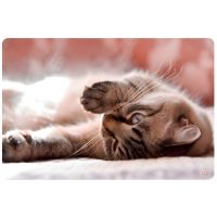 Spirit: Little Cat suport de carte pentru birou 60x40cm - s/p/Spirit-Little-Cat-suport-de-carte-pentru-birou-60x40cm-1.jpg