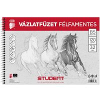 Student caiet schiţe spirală B5 - s/t/student-caiet-schite-spirala-b5.jpg