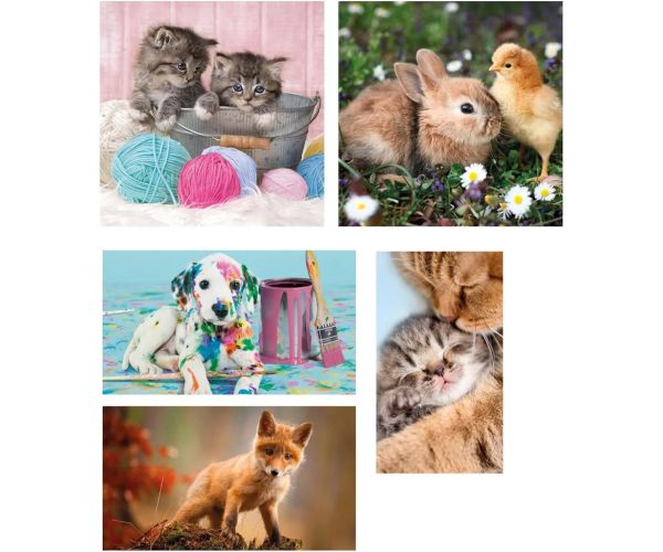 Prietenii animalelor 10 în 1 puzzle super color - Clementoni