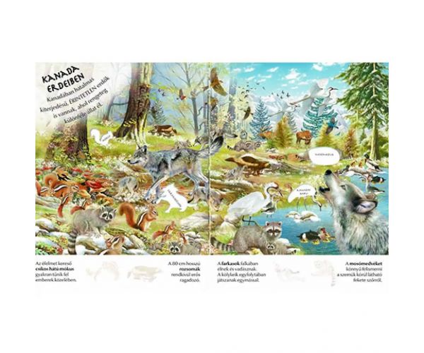 Ce interesantă este lumea... Caiet cu autocolante despre puii de animale