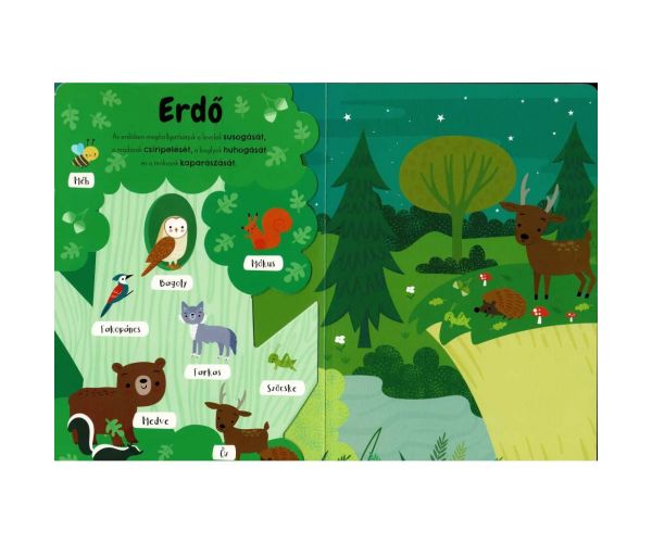 Primele mele sunete de animale - carte cu module audio engleză-maghiară