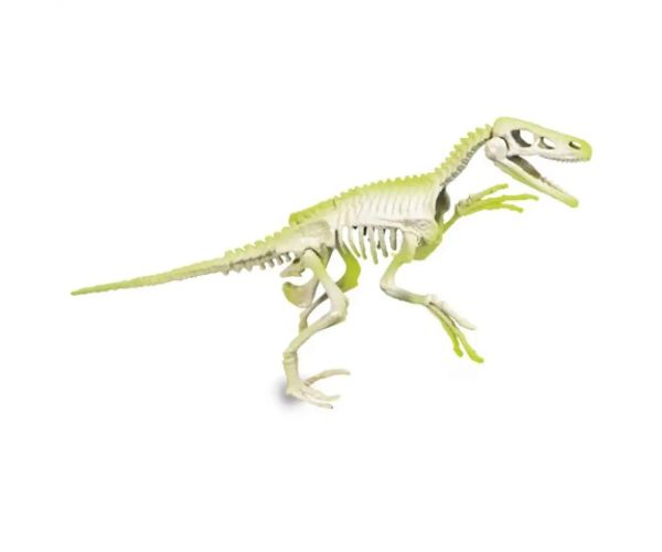 Science&Play: Archeofun Velociraptor luminează set de arheolog - Clementoni